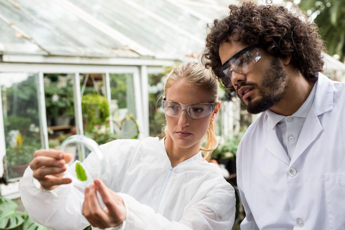 Biotechnology in Art: Exploring New Frontiers